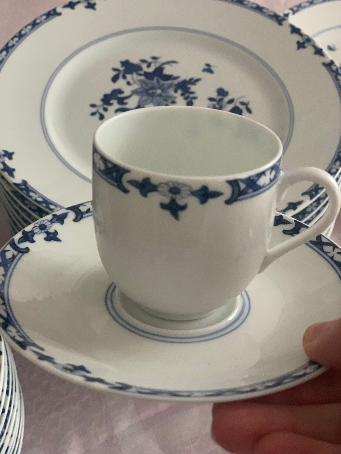 Amphitrite tableware service Ervuis and Raynaud 64 pieces