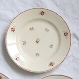 Set of 4 flat plates Niderviller, vintage