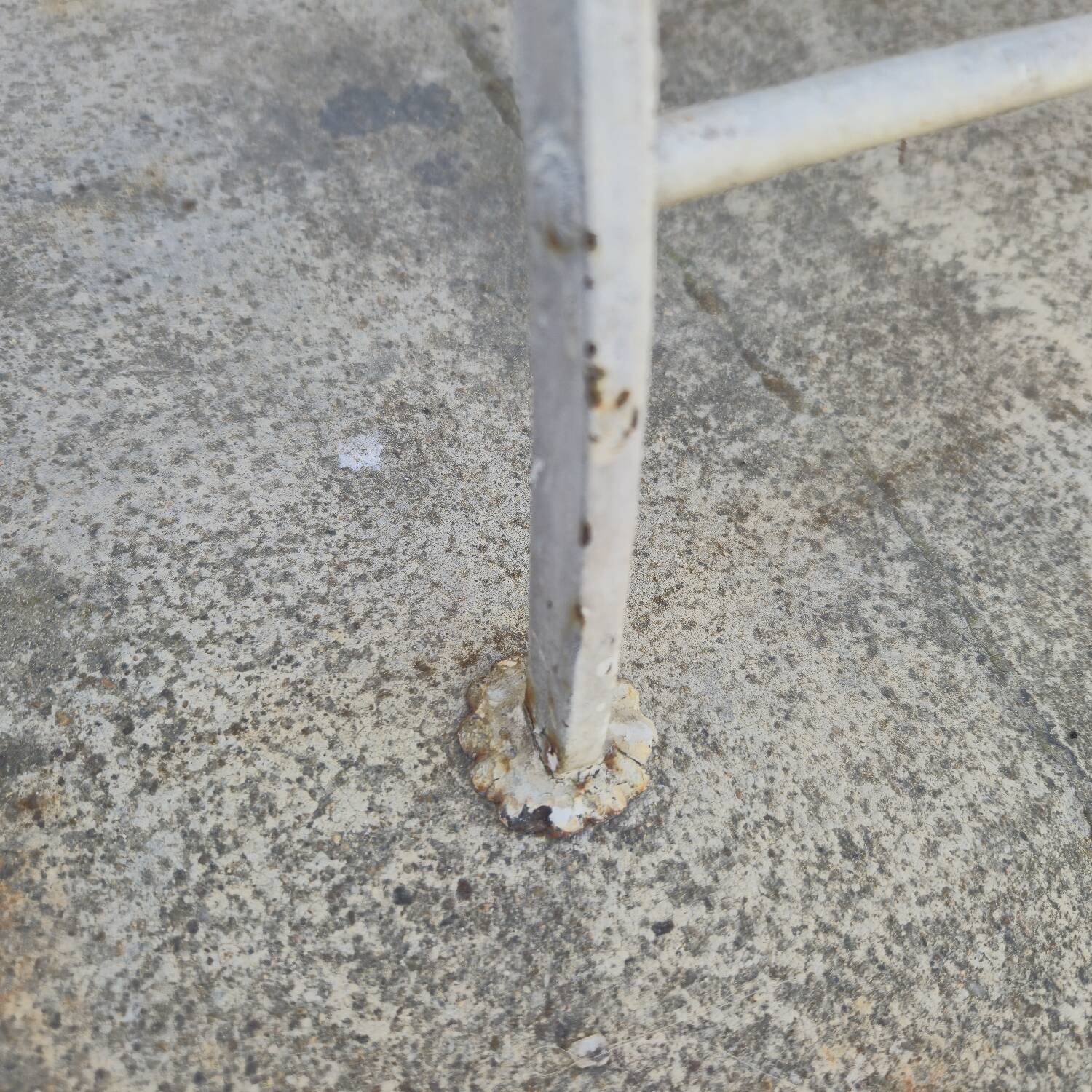 Pair of 19th century wrought iron garden chairs