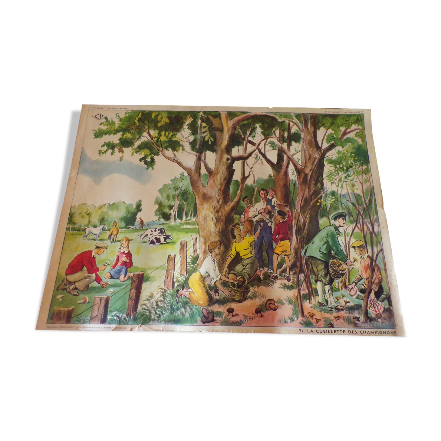 Affiche d'école double face