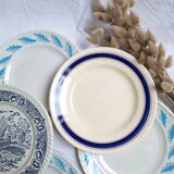 Blue vintage dinner plates