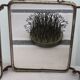 Old triptych barber mirror
