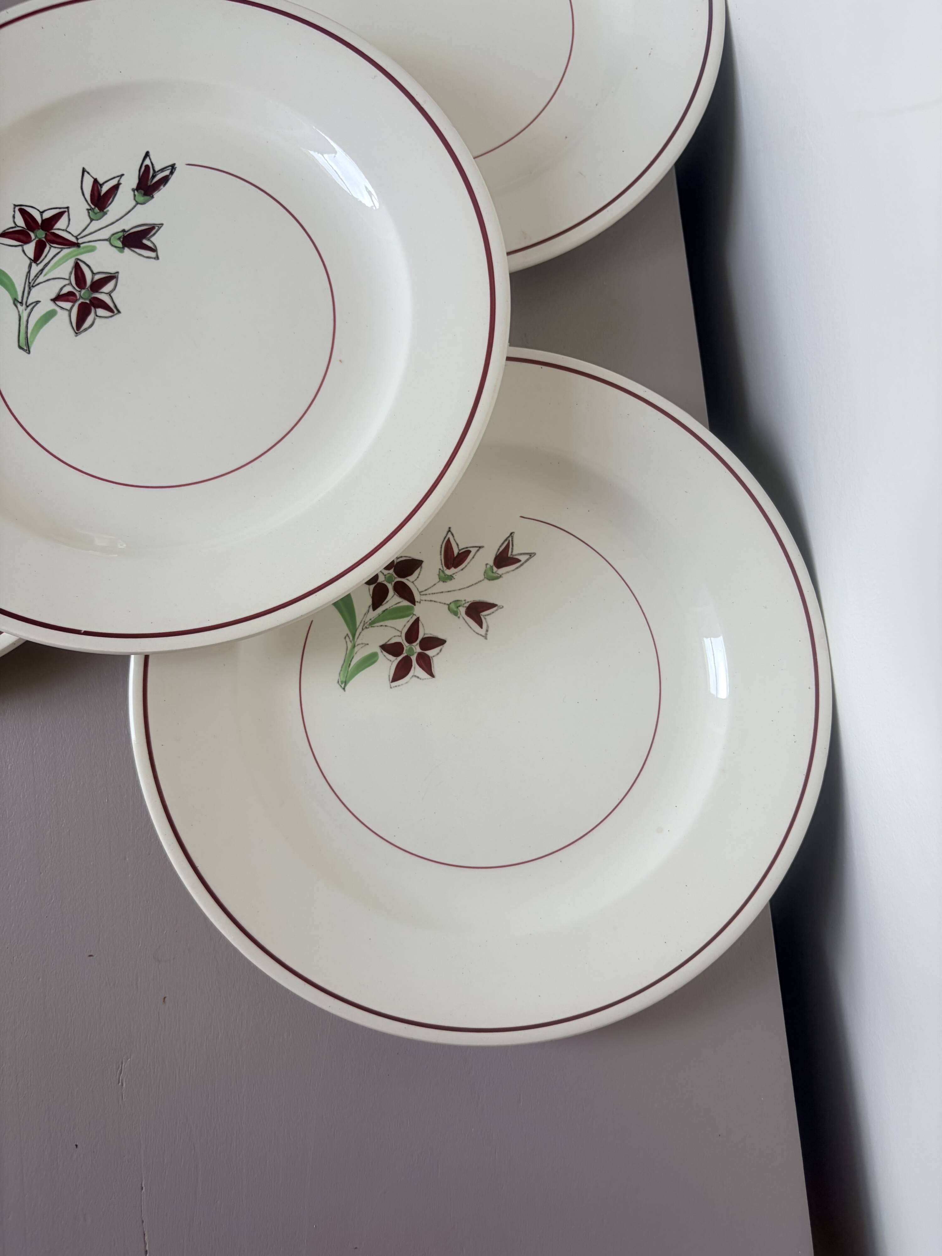 4 flat plates from Salins 210656