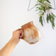 Sandstone jug jug