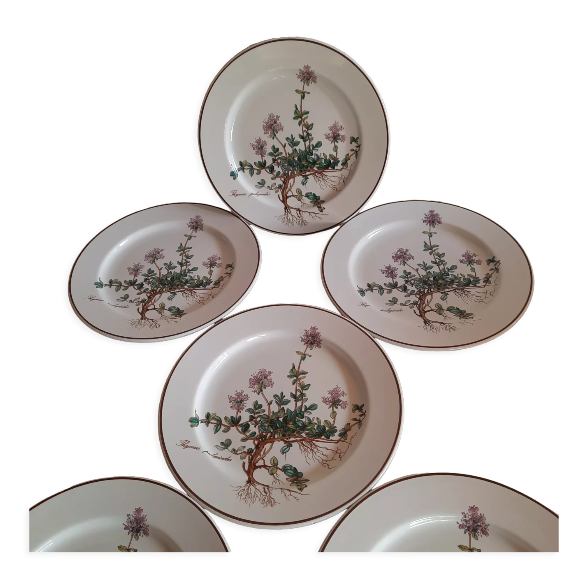 6 small plates - 20 cm - Botanica, Villeroy and Boch series