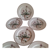 6 small plates - 20 cm - Botanica, Villeroy and Boch series