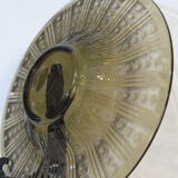 Dish