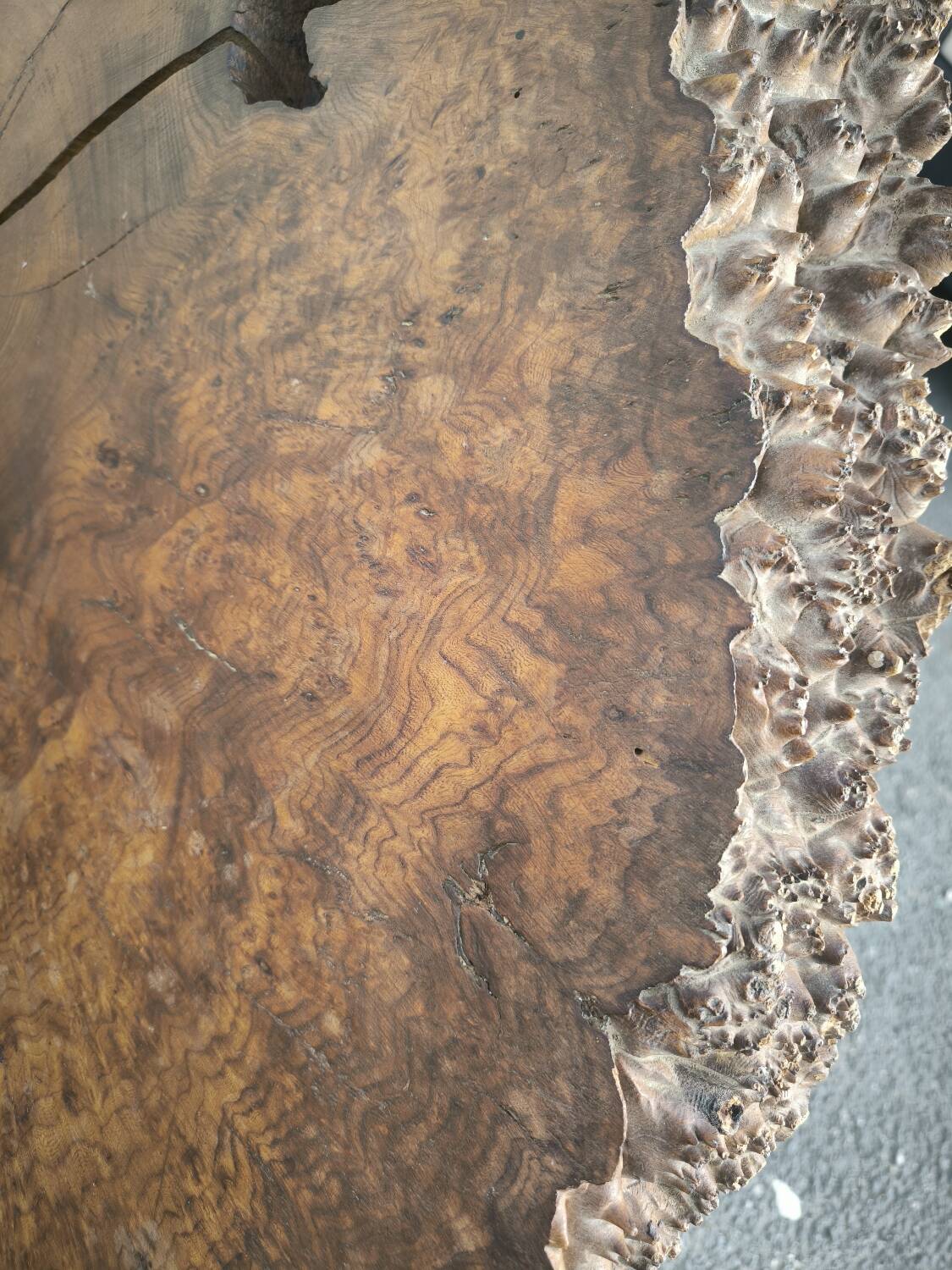 Brutalist coffee table in solid elm burl 108 cm diameter