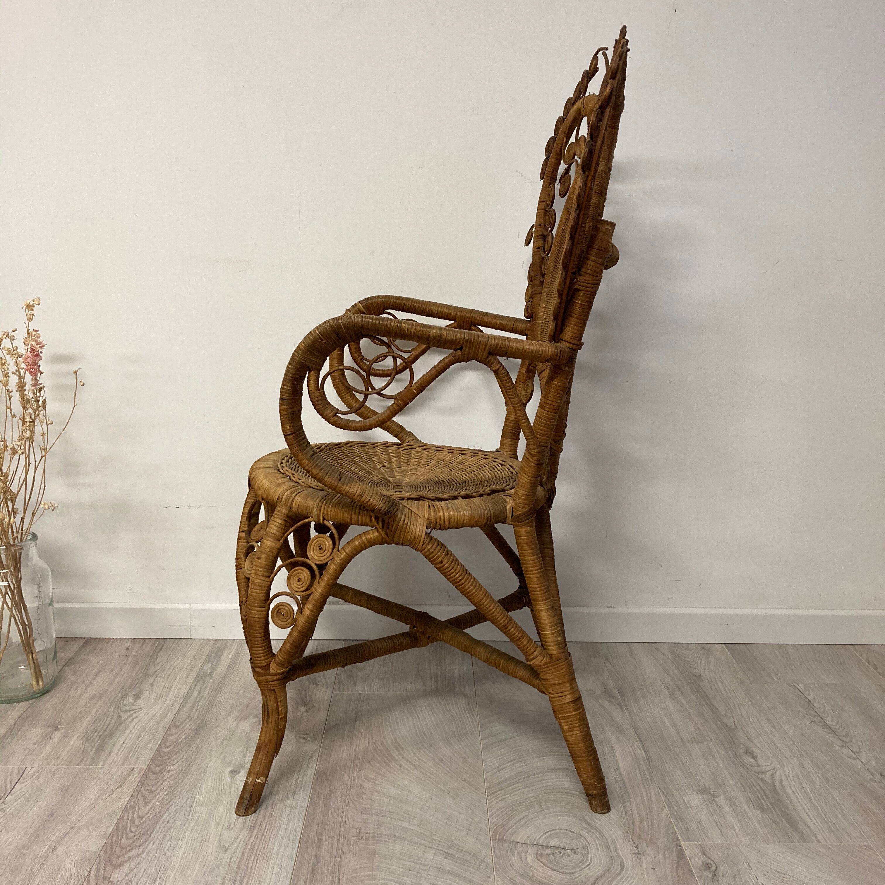 Peacock chair with armrests