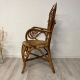 Peacock chair with armrests