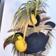 Illustration. Keel-billed Toucan by J. Gould – 33x49 cm – Antique bird print