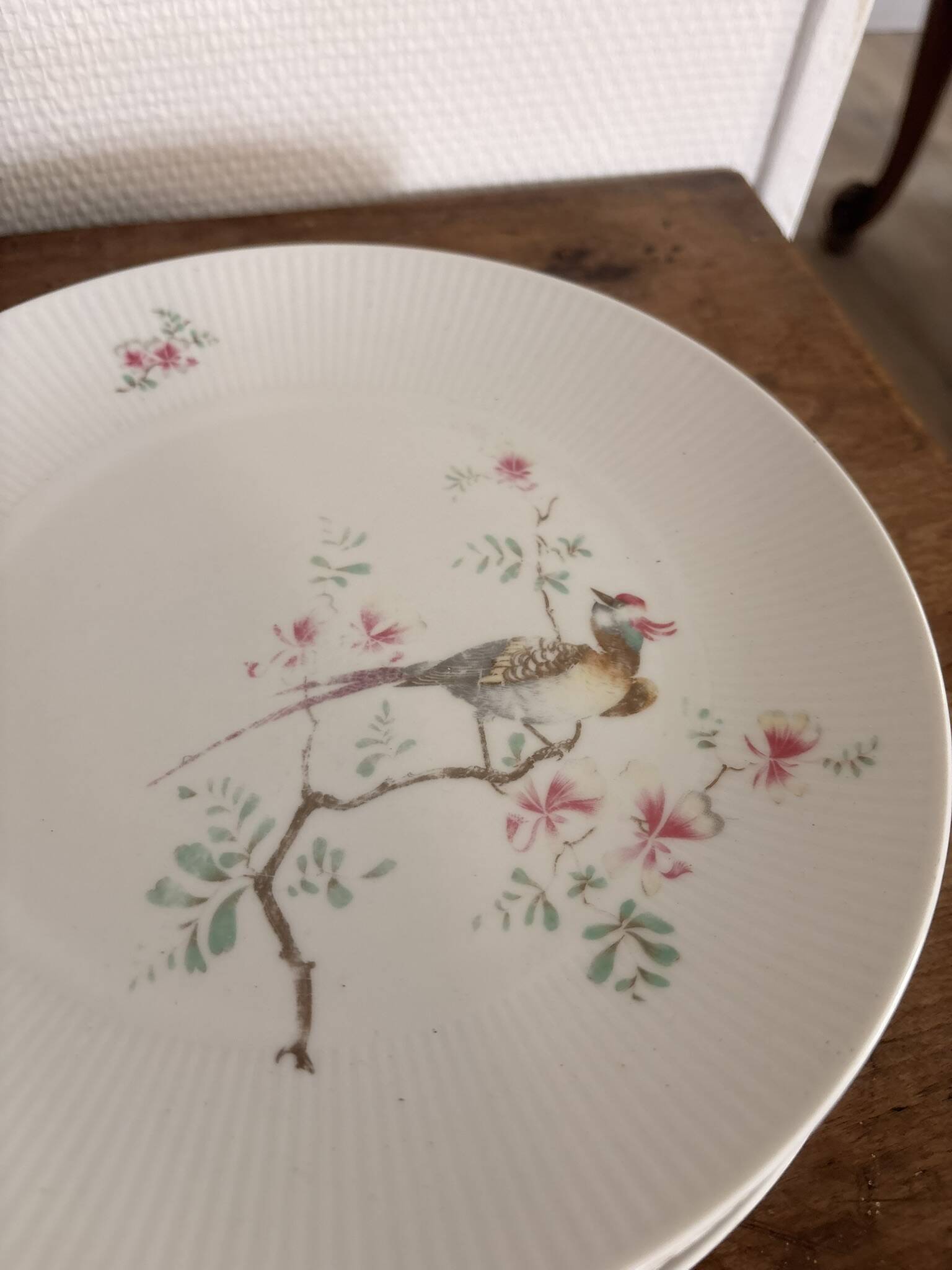 Lot 5 Plates Porcelain Seltmann Weiden Bavaria Birds Pheasant