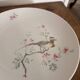 Lot 5 Plates Porcelain Seltmann Weiden Bavaria Birds Pheasant