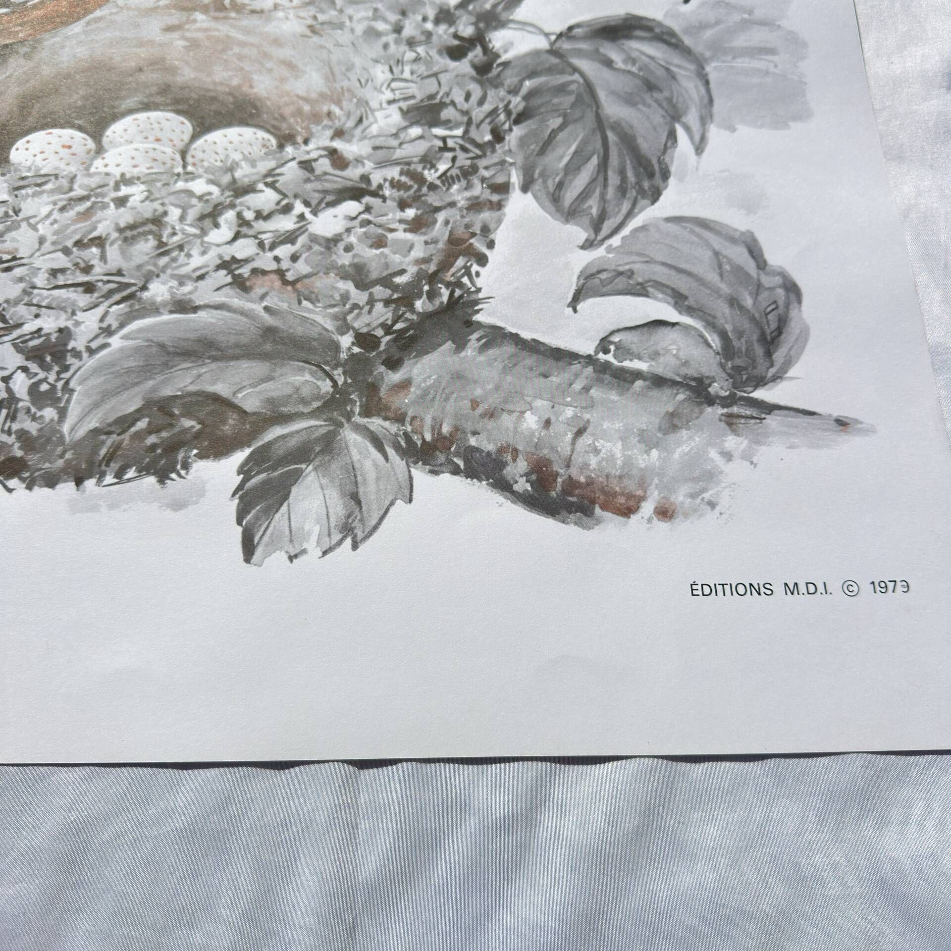 School poster Fernand Nathan Paris 1973 double-sided illustration