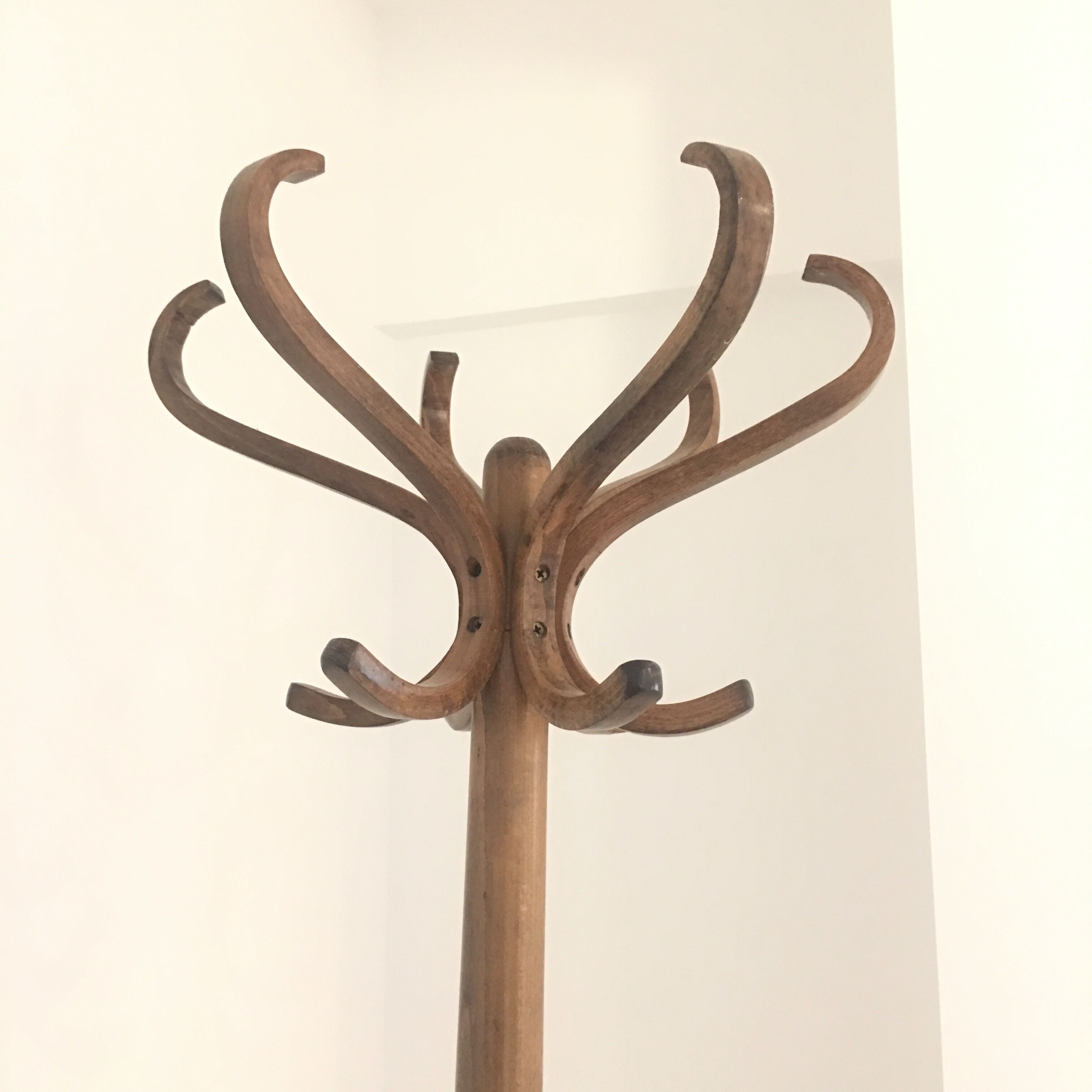 Baumann parrot coat rack