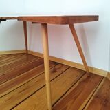 Table Basse par Jiří Jiroutek pour Cesky Nabytek, 1960s