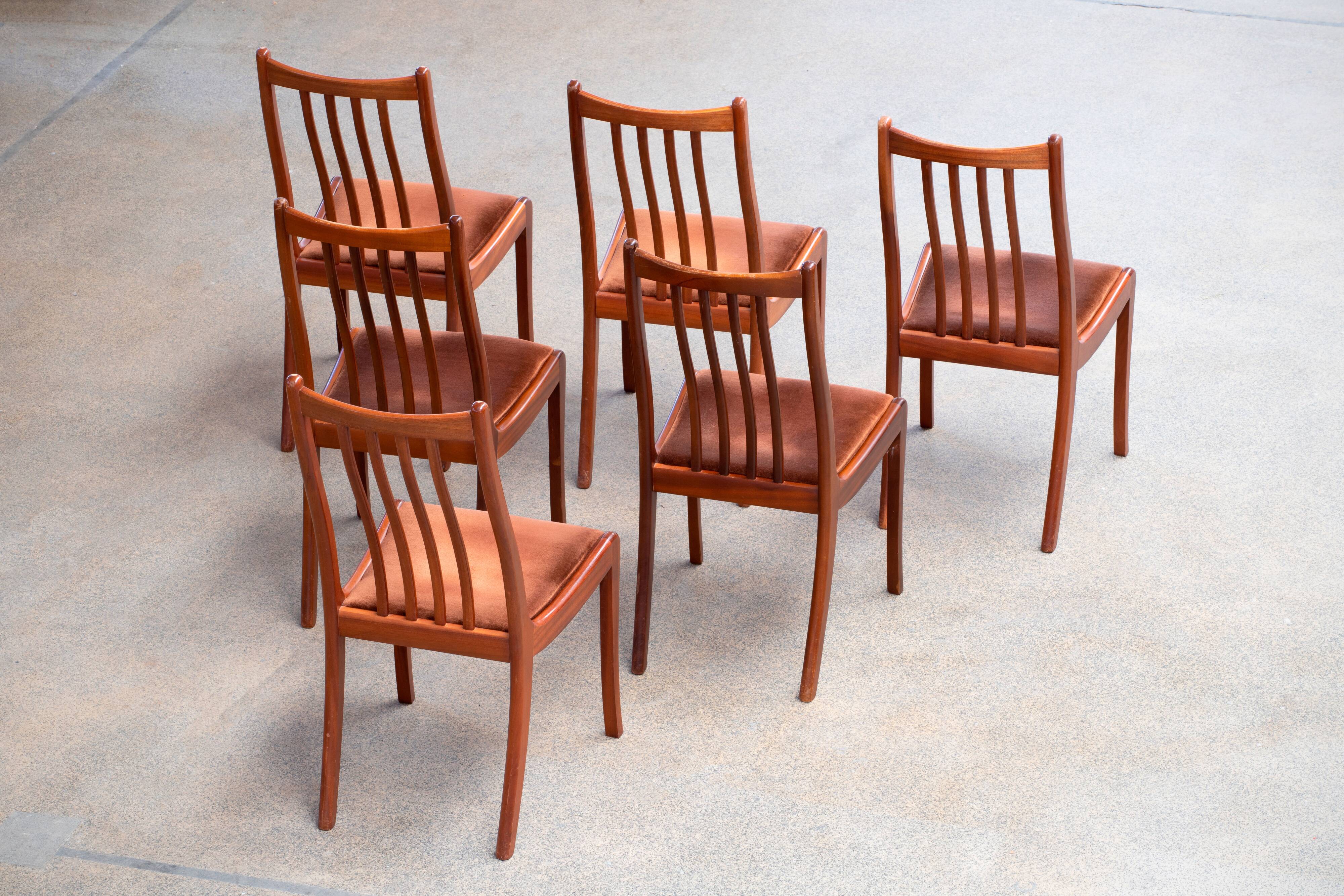 Series of 6 scandinavian chairs
