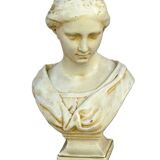 Bust