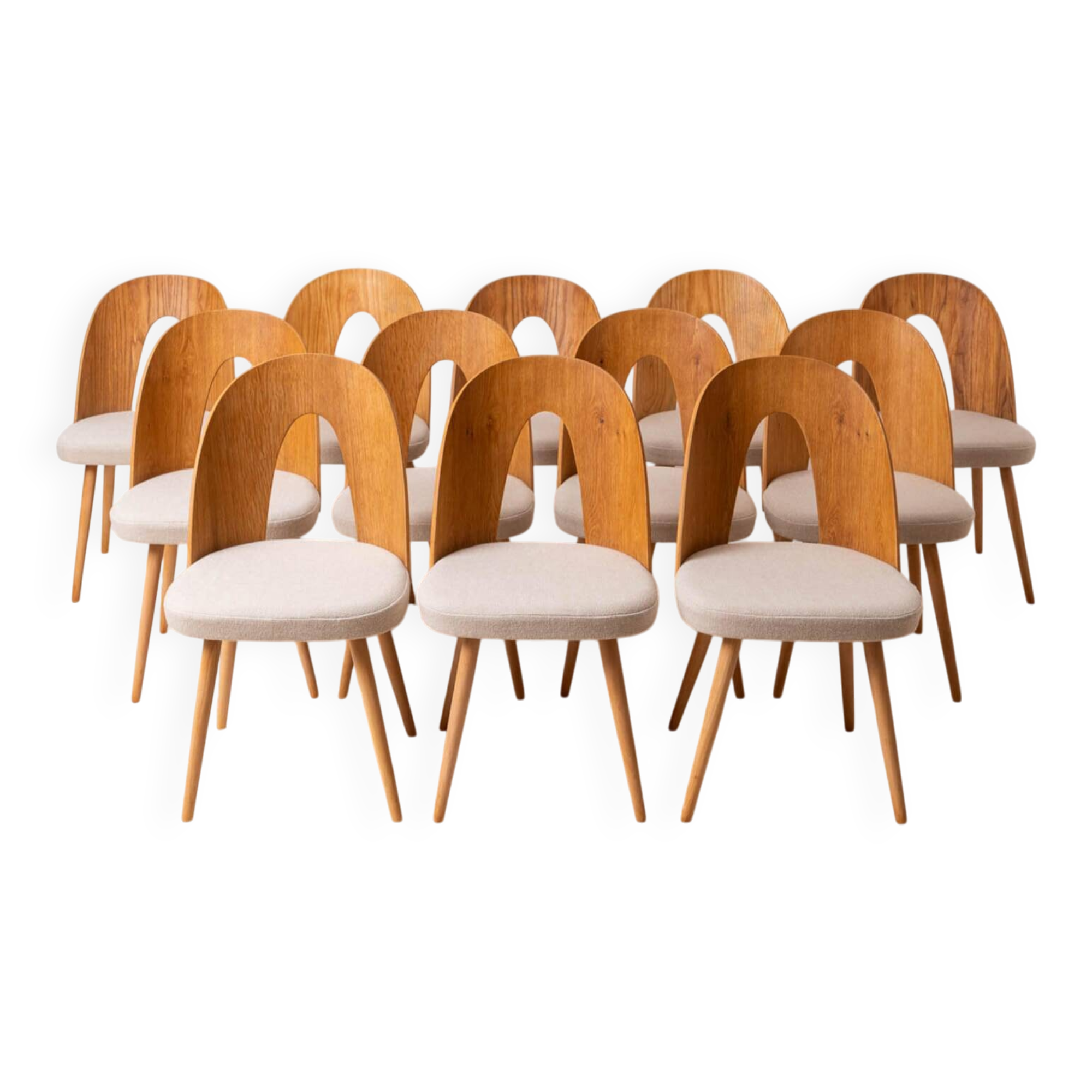 Set of 12 Mid Century Dining Chairs by A.Šuman, 1960s, Reupholstery Options