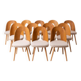 Set of 12 Mid Century Dining Chairs by A.Šuman, 1960s, Reupholstery Options