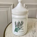 Old pharmacy jar Salvia Officinalis