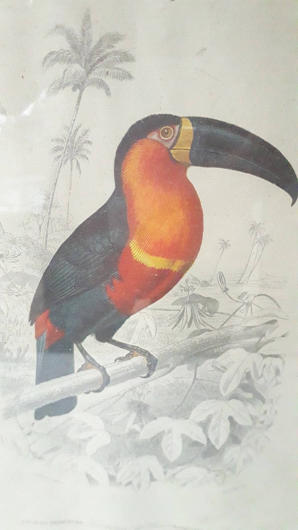 Educational framework