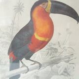 Educational framework