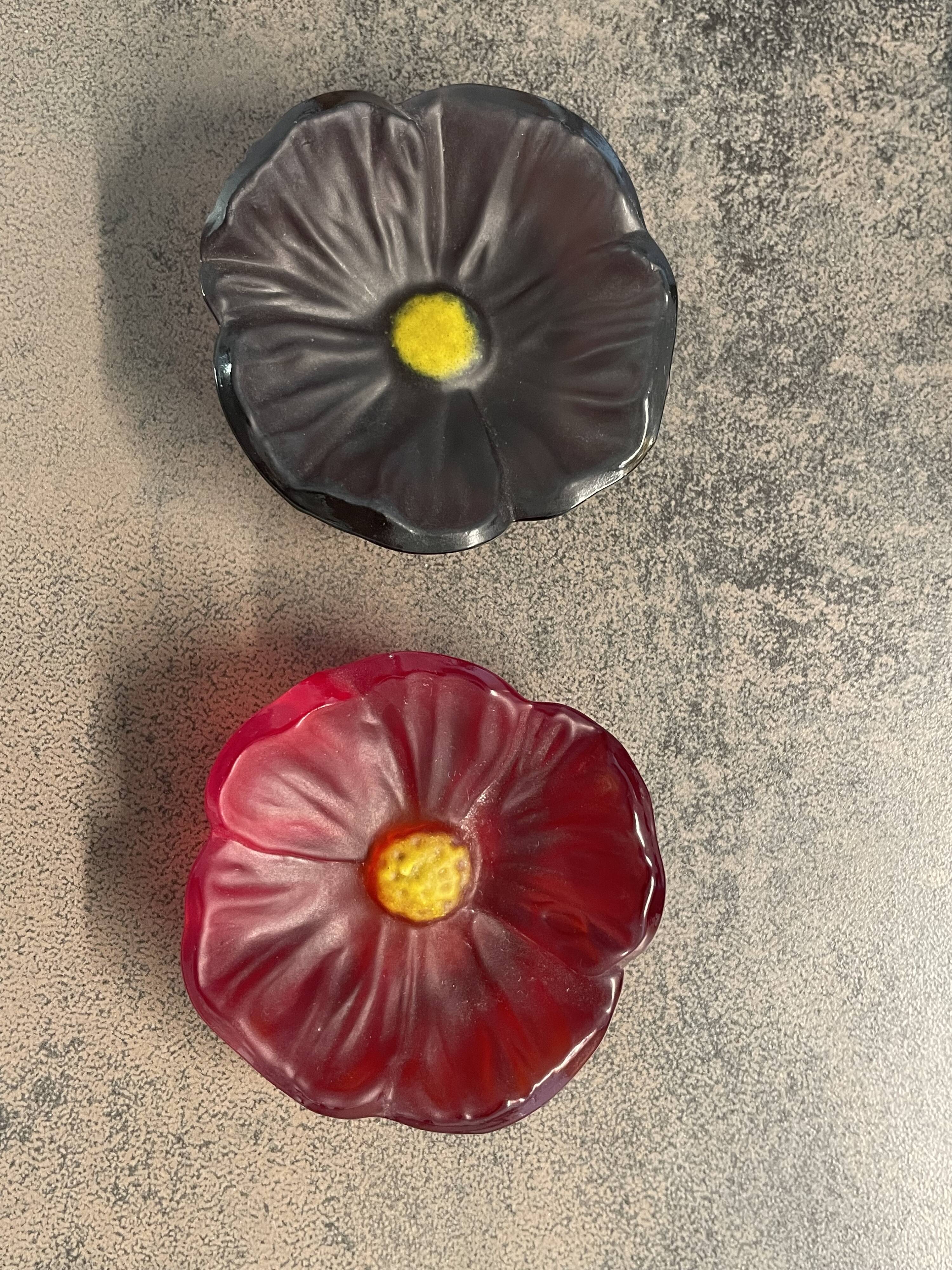Empty pocket flower daum