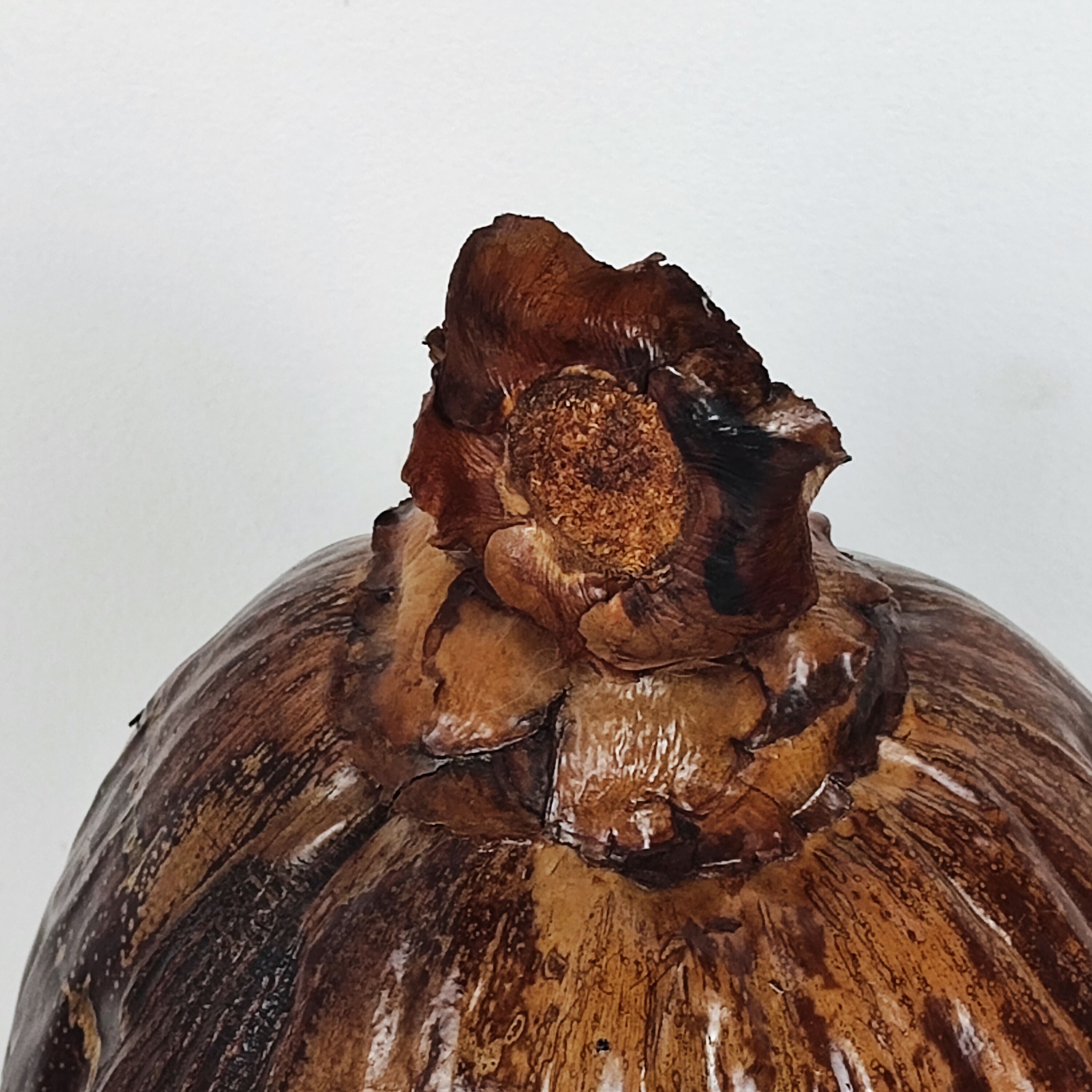 Seau à glaçons noix de coco