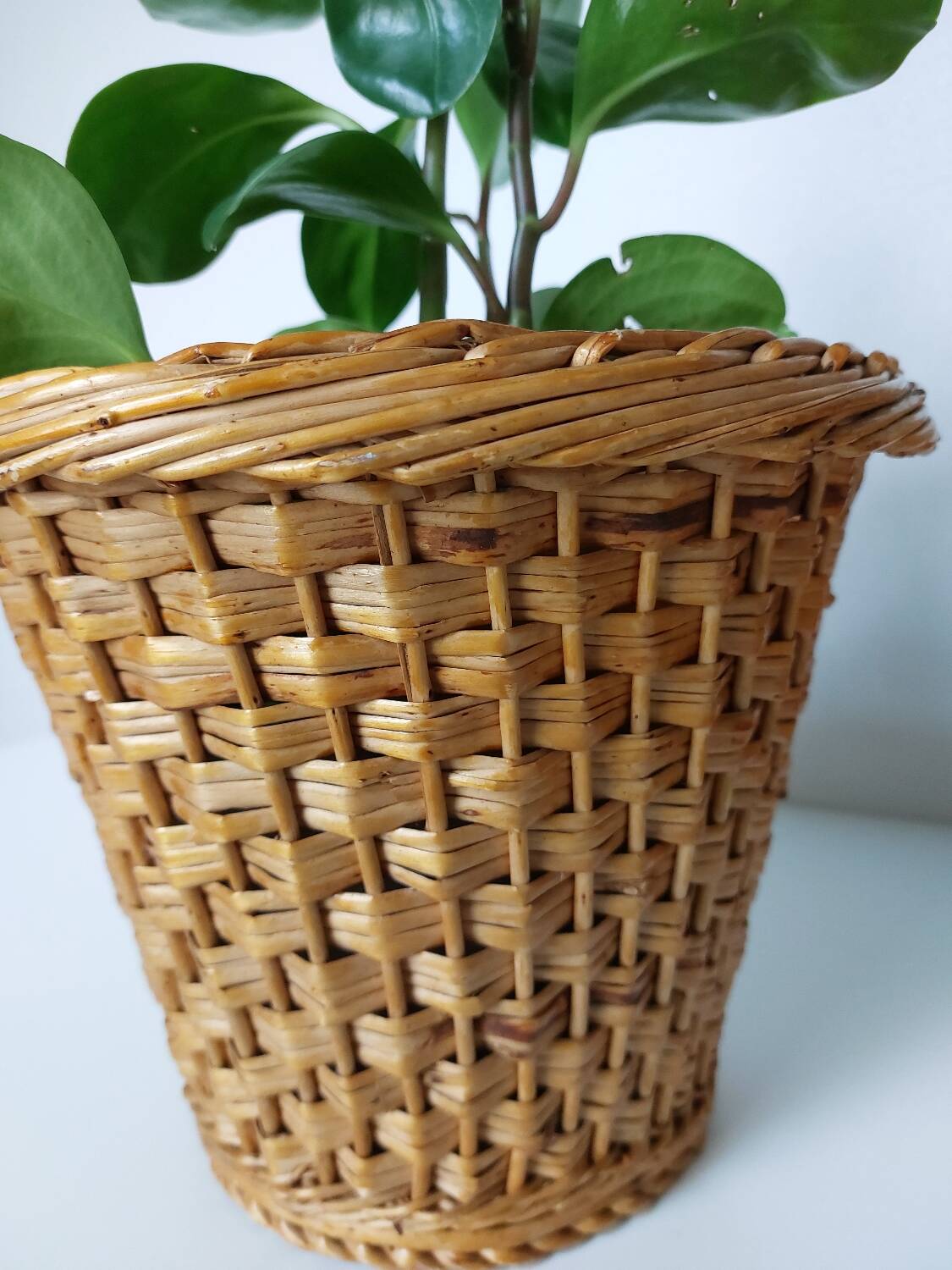 Woven Wicker Plant Pots