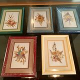 5 herbariums, framed floral arrangement