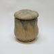 Gilbert Metenier Covered pot in beige and blue art nouveau flamed stoneware