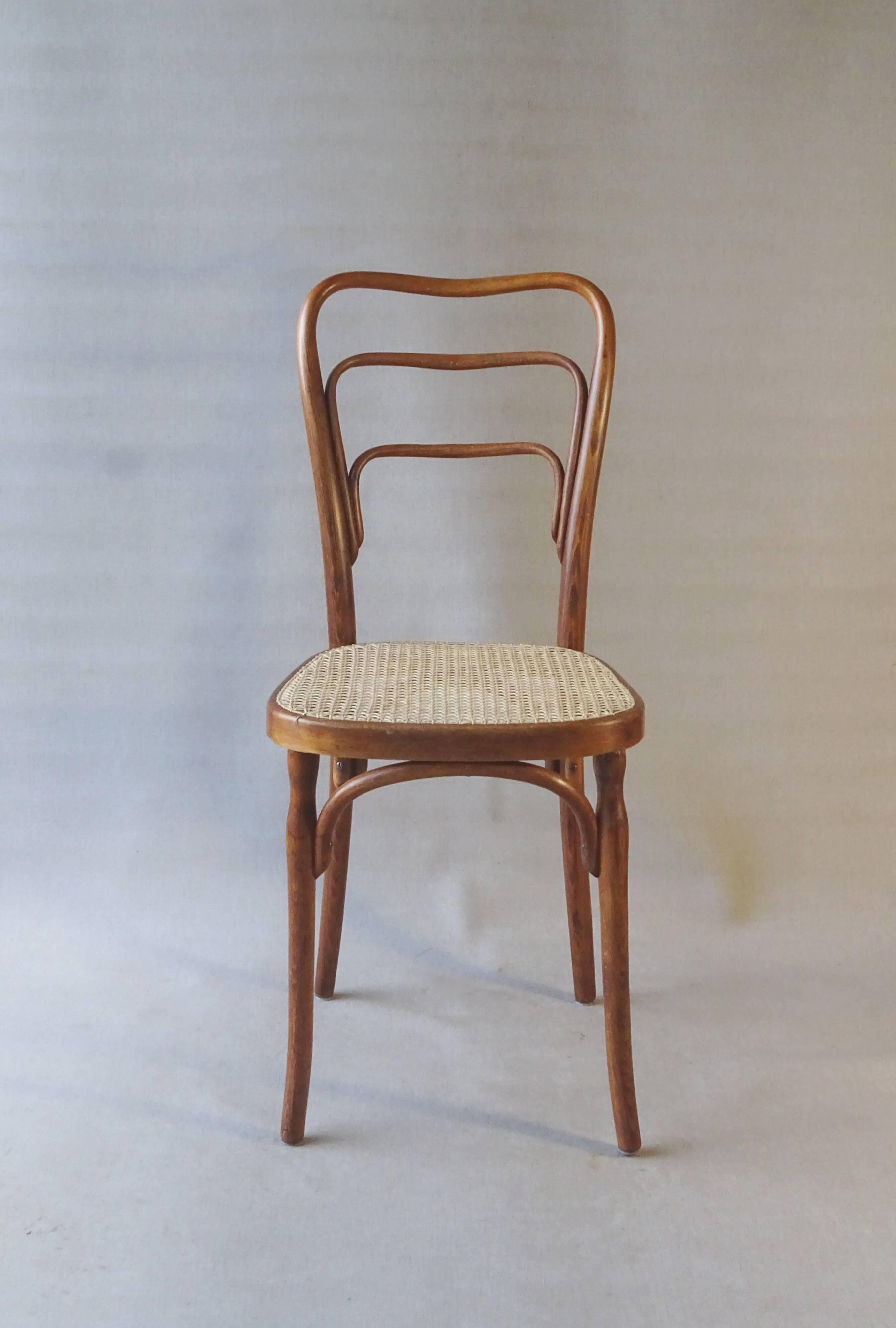 Kohn chair no. 248 with bent wood, viennese secession, around 1905 - no thonet -