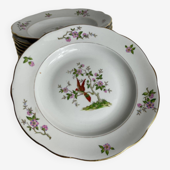 11 Deep Plates in Sologne Porcelain, Lamotte - Charming Floral Pattern