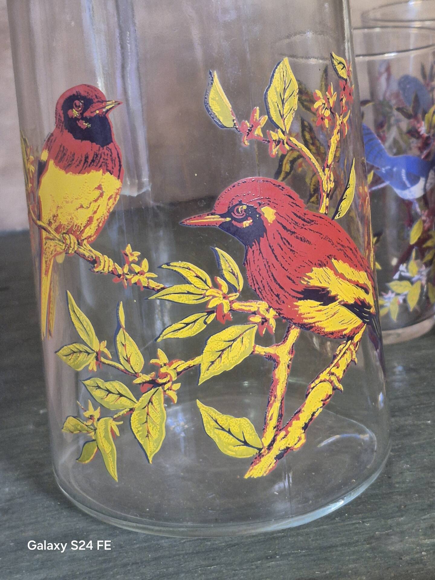 Verres oiseaux