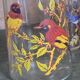 Verres oiseaux