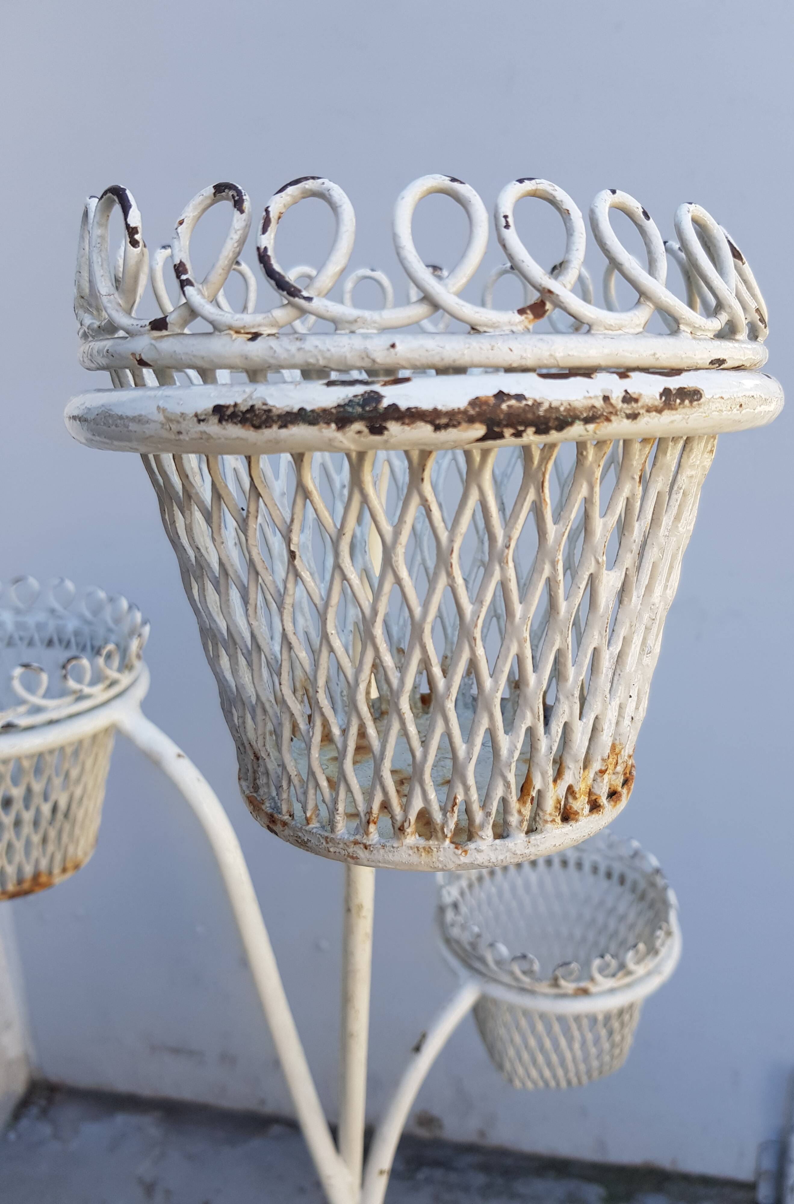 Plant holder wrought iron planter Mathieu Mategot 1950s | Selency