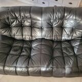 Kashima model sofa by Michel Ducaroy for Ligne Roset