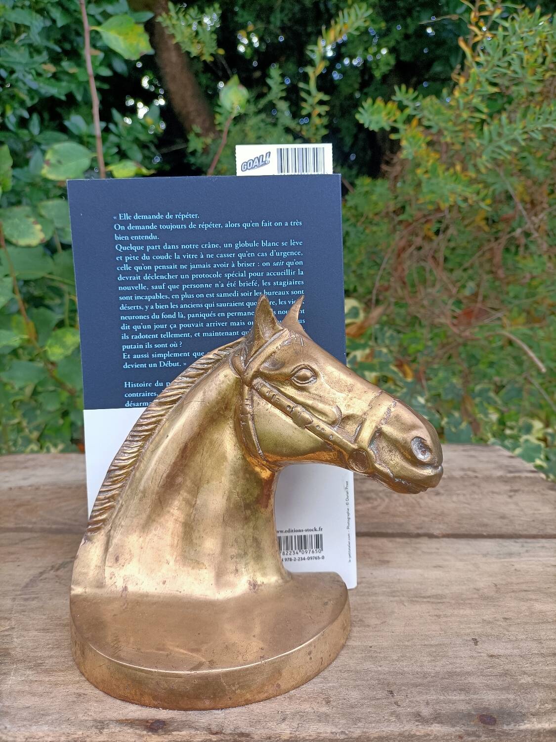 Serres Livres Laiton Cheval Vintage