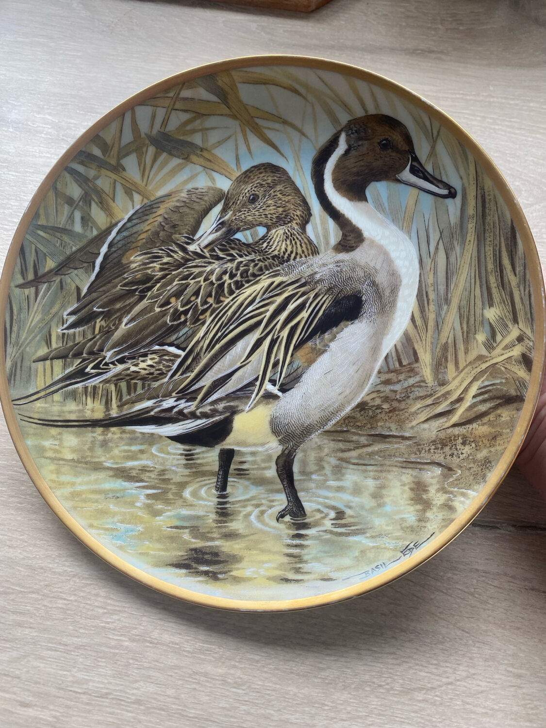 Decorative plate Limoges Water Birds