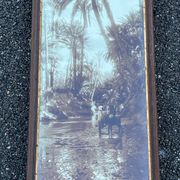 Ancienne photographie 1920 signée Alexandre Bourgault orientaliste