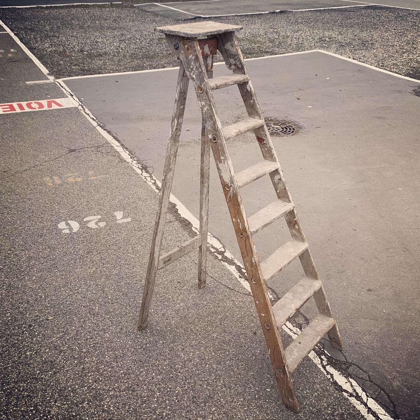 Stepladder painter