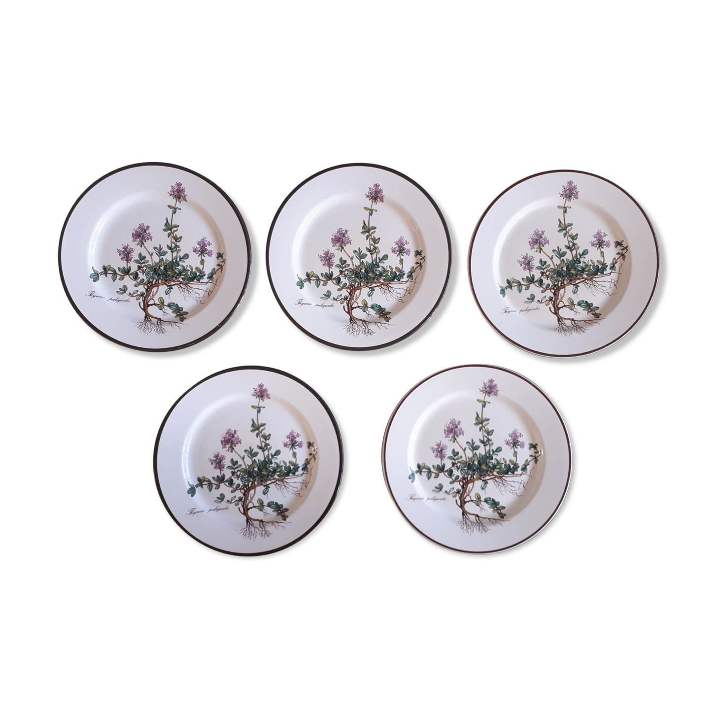 Lot of 5 dessert plates "Thymus" from the Botanica de Boch service