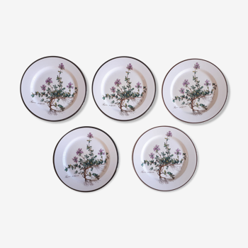 Lot of 5 dessert plates "Thymus" from the Botanica de Boch service