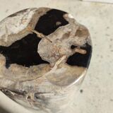 Side table in petrified wood