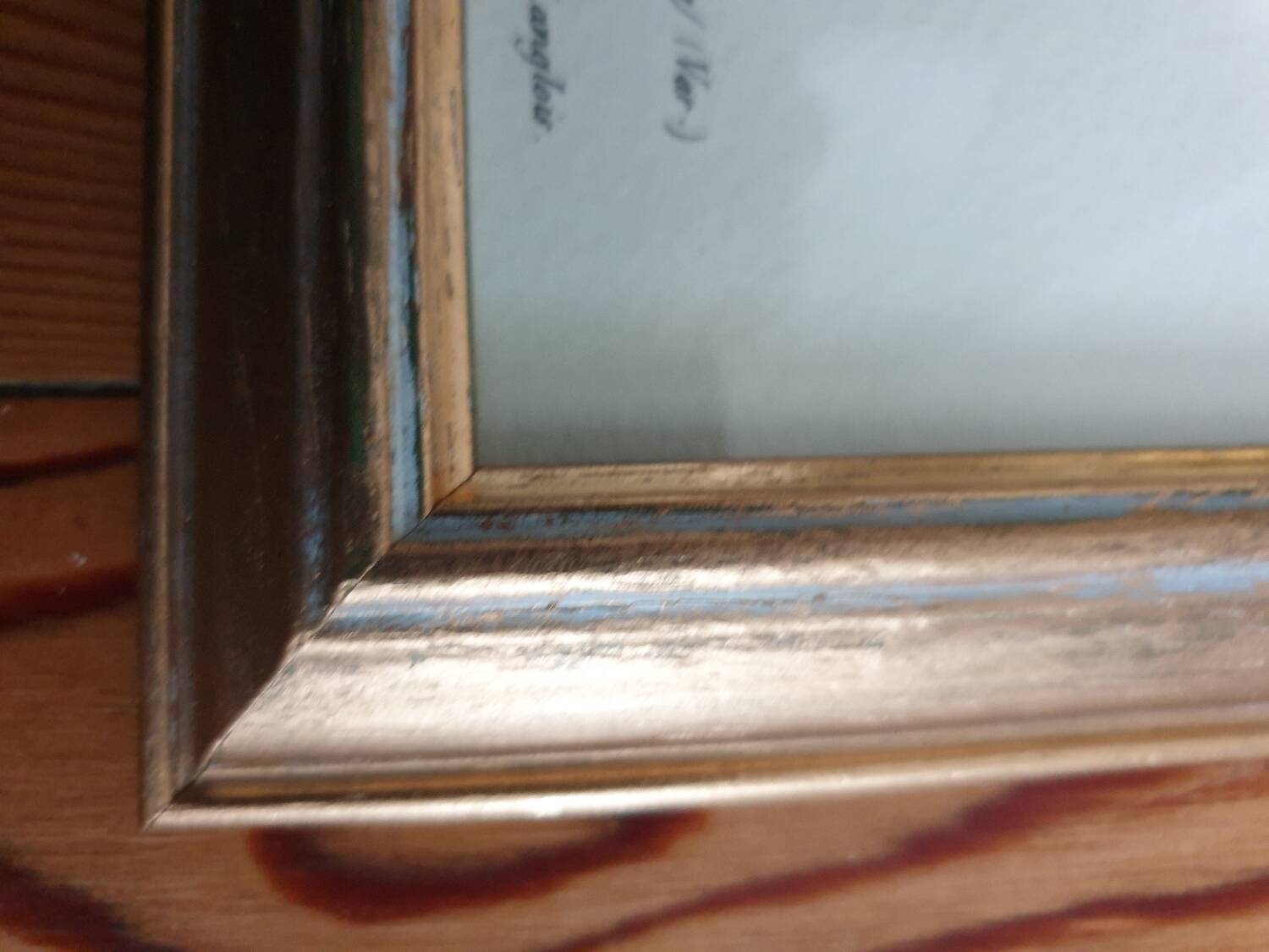 Botanical plate of Roses by PJ Redouté framed