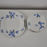 Set of 11 plates dessert and 1 dish of the pottery of onnaing