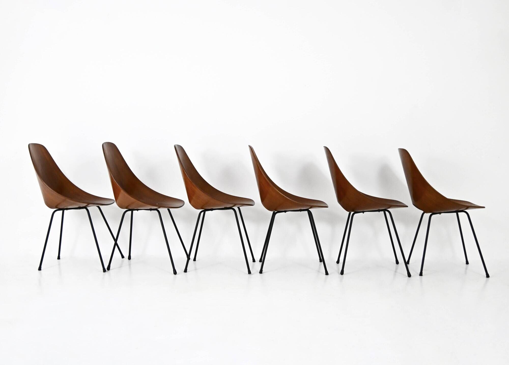 6 "Medea" chairs by Vittorio Nobili for Frattelli Tagliabue, 1950s