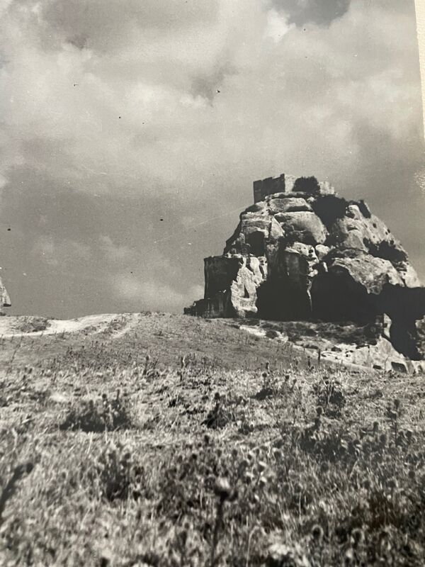 Photographie ancienne noir et blanc argentique début XXe