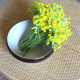 Two-tone vintage stoneware salad bowl from Digoin.